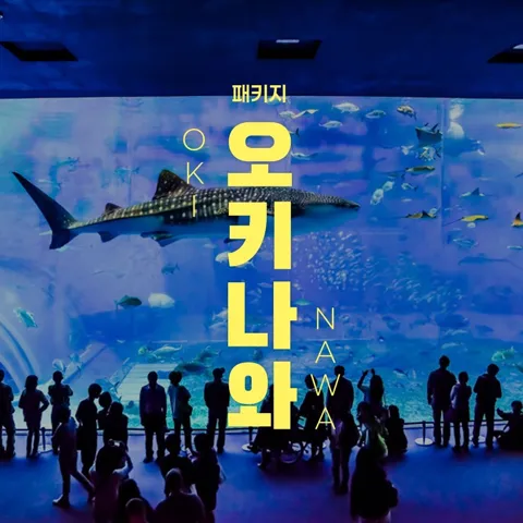 오키나와 3박 4일 천연온천 + 1일 자유일정 vs 선셋크루즈 + 나하 워킹투어 699,460원 (무료)