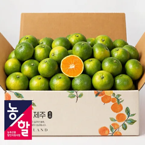 (32%할인)제주 첫출하 햇조생 감귤 로얄과 실중량 2.5kg
