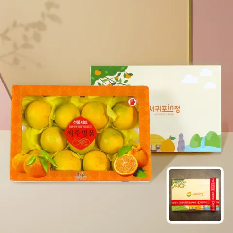 서귀포인정 제주 황금향 2.5kg 로얄과 선물세트