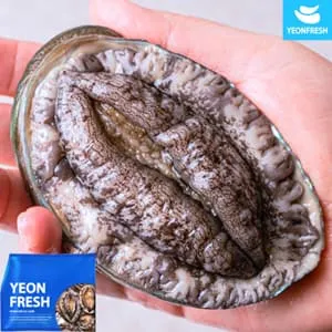 완도 활 전복 1kg 9-10미 (미당 100g내외)