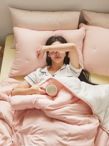 웰슬립 포근한 고온워싱 리버서블 차렵이불