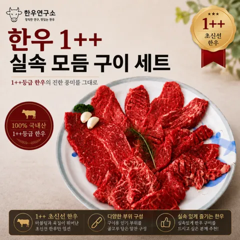 국내산 한우 1++ 실속 모듬구이 600g