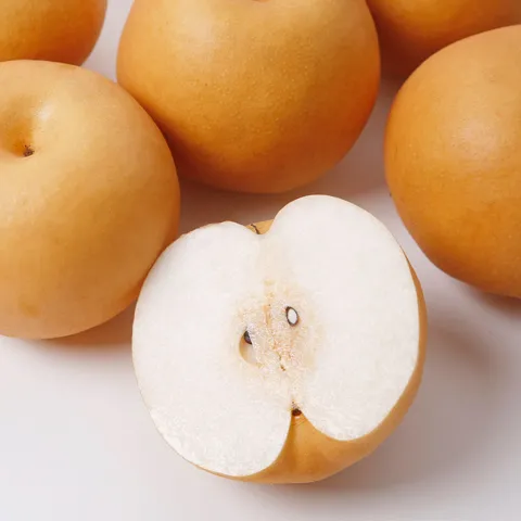 26년 햇 원항배 5kg