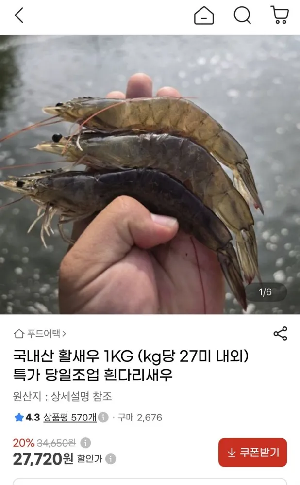 [지마켓] 국내산 활새우 1KG (kg당 27미 내외) (27,720원/무배)