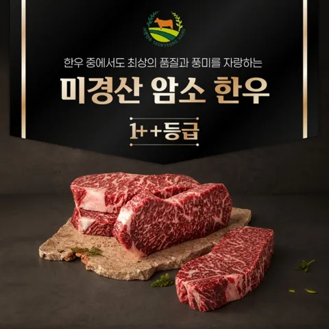 국내산 1++ 한우 등심 400g