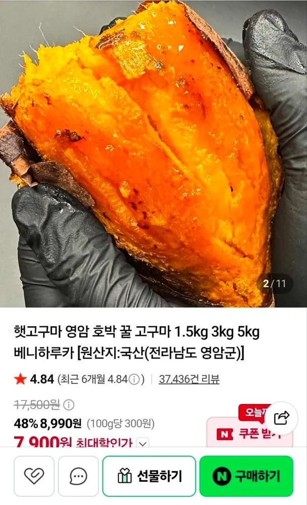 [네이버] 영암 햇고구마 1.5kg 특상 (4,900원/네멤무배)