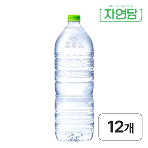 자연담 먹는샘물 2L, 12개