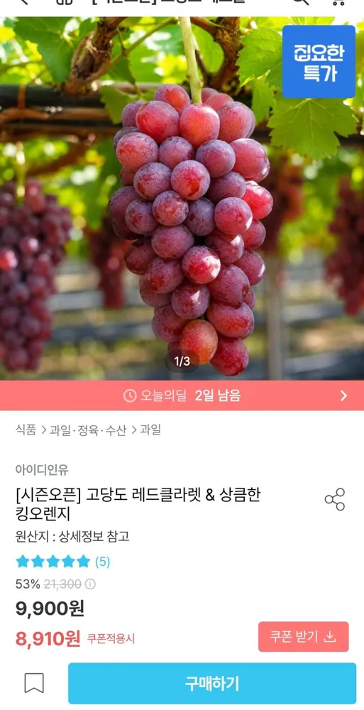 [오늘의집] 레드클라넷 500g 1송이 (8,910원/무료)