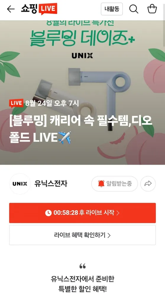 [네이버] 유닉스 디오폴드 접이식 BLDC 드라이기 (99,000원/무료)
