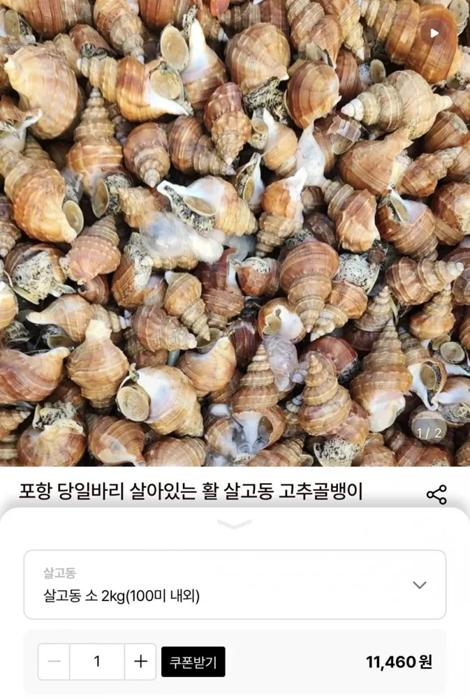[롯데온] 포항 당일바리 활 살고동 소 2kg(100미 내외) (10,890원/무료)