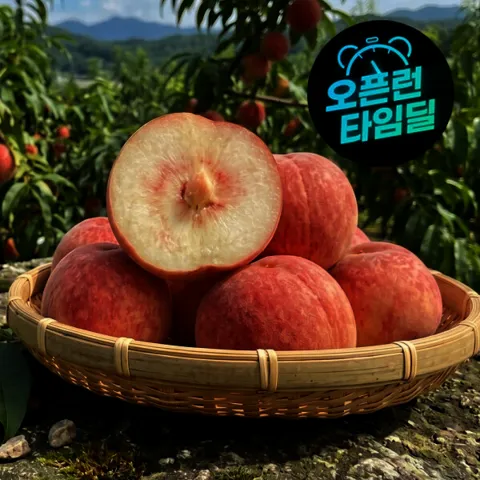 딱딱이 백도 복숭아 3kg (15-18과)