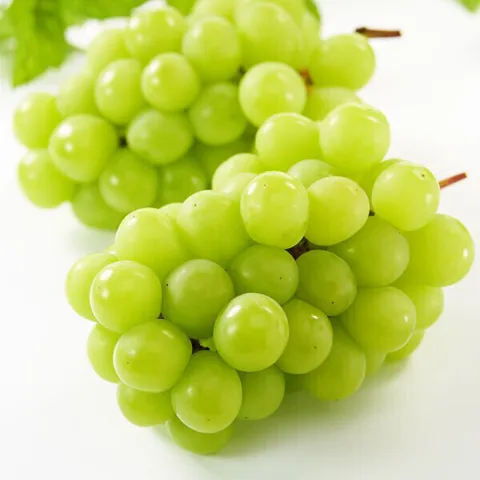 샤인머스켓 2kg 3수 로얄과