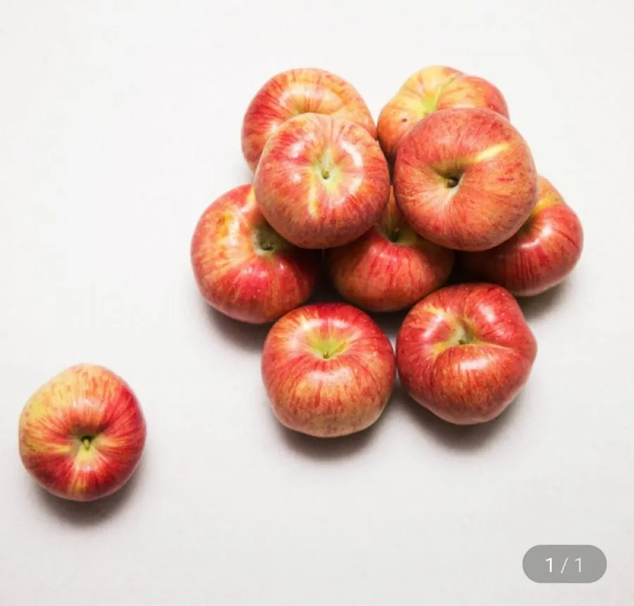 [지마켓] 홍로햇사과 가정용 2kg (9,690원/무료)