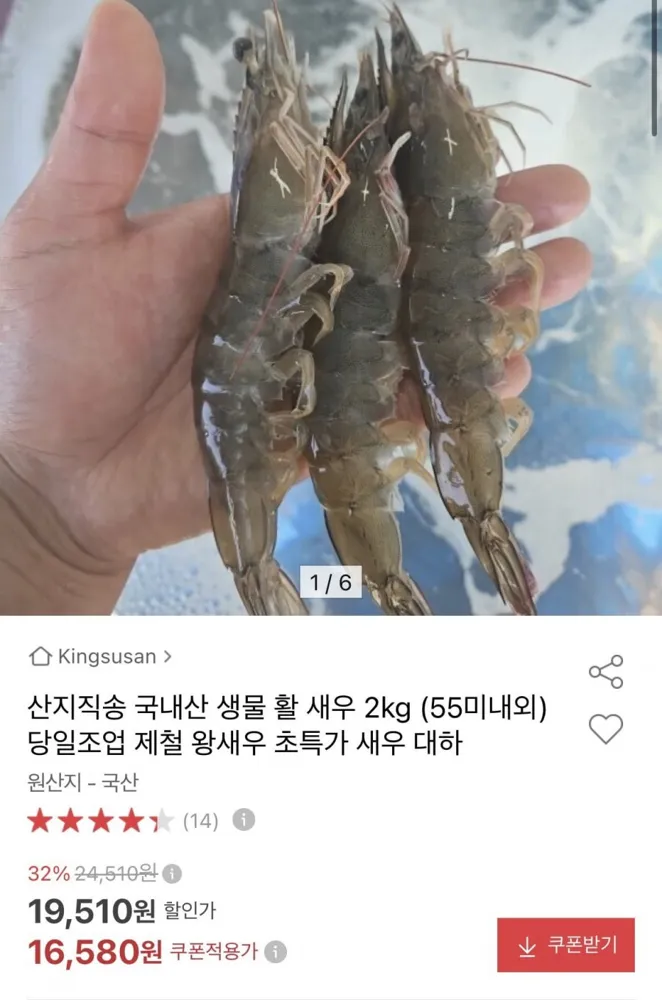 [옥션] 산지직송 국내산 생물 활 새우 2kg (55미내외) 당일조업 (16,580원/무료)