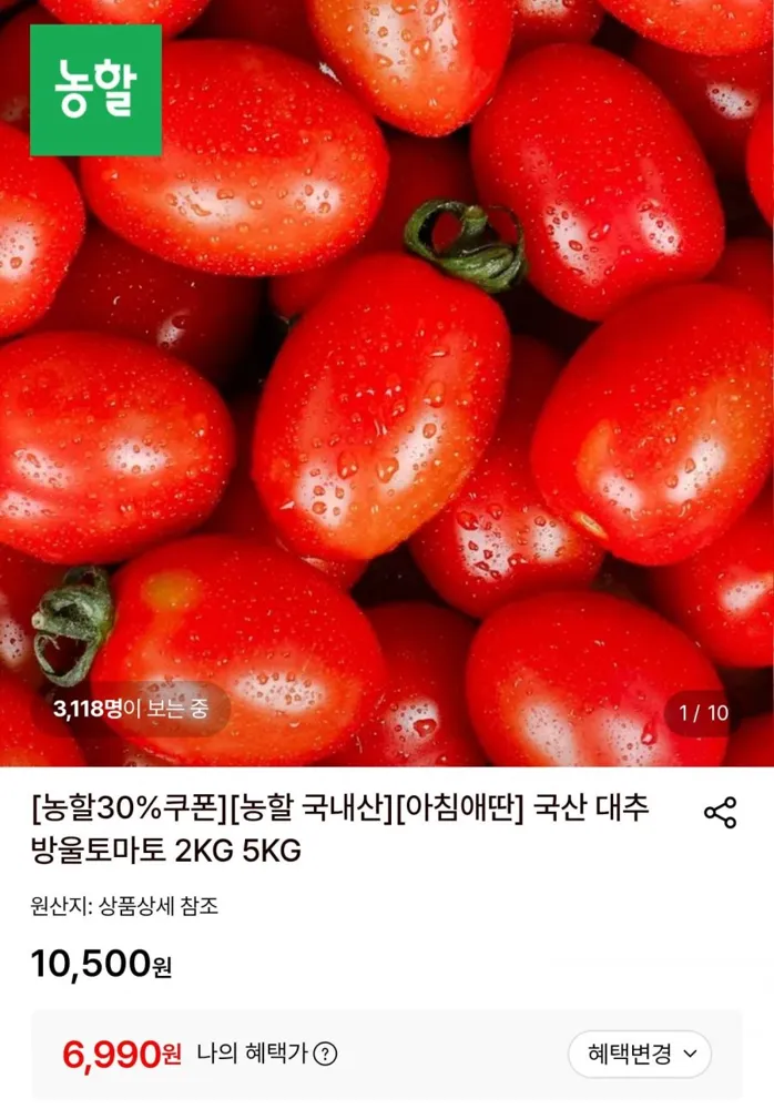 [롯데온] 국산 대추방울토마토 2KG (6,990원/무료)