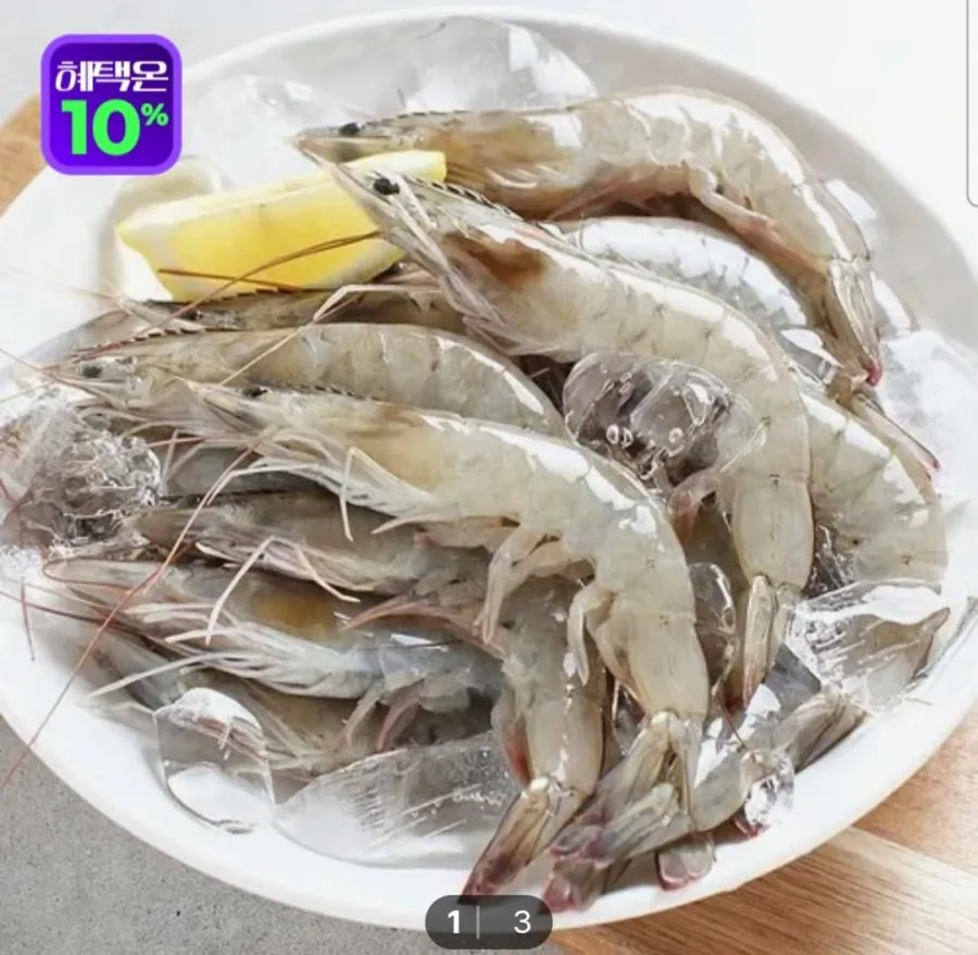 [sk스토아] 당일조업 생물 활새우 1kg (24,400원/무료)