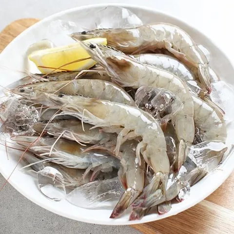 당일조업 생물 활새우 1kg