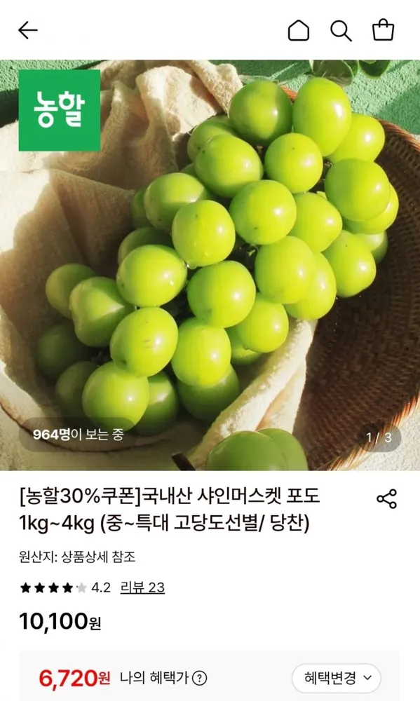 [롯데온] 샤인머스켓 1kg 중 2송이 (6,720원/무료)