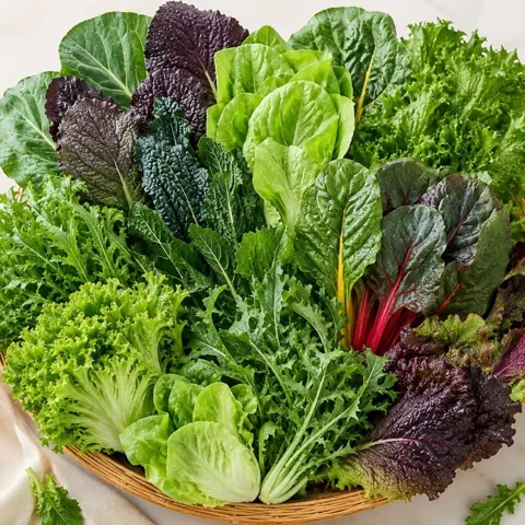 국내산 모듬 쌈채소 랜덤 1kg