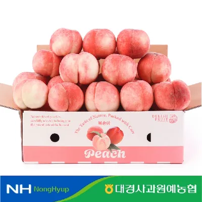 영천 딱딱이 복숭아 2kg
