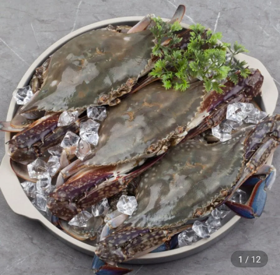 [지마켓]산지직송 태안생물 가을 활 숯꽃게 빙장포장 2kg(6-10미) (23,310원/무료)