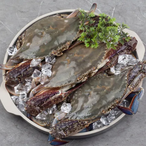 산지직송 태안생물 가을 활 숯꽃게 빙장포장 2kg(6-10미)