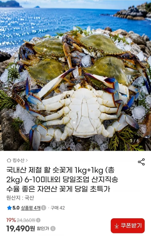 [지마켓] 활 숫꽃게 1kg+1kg (총 2kg) 6-10미내외 (19,490원/무배)