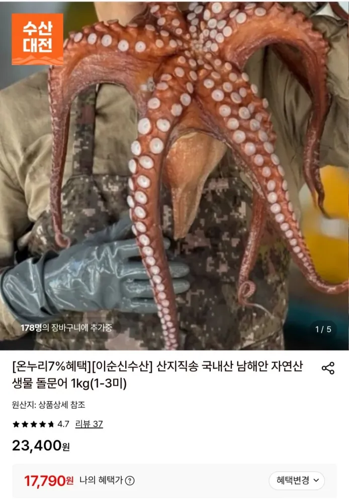 [롯데온] 돌문어 1kg (1-3미) (17,790원/무료)