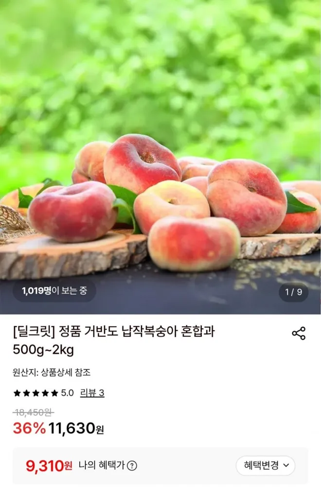[롯데온] 거반도 납작복숭아 500g (9,310원/무료)