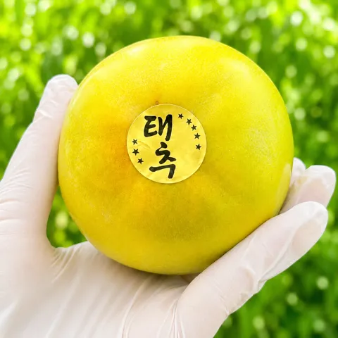 고당도 태추단감 선물세트 2.5kg