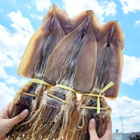 영덕 마른 오징어 10미