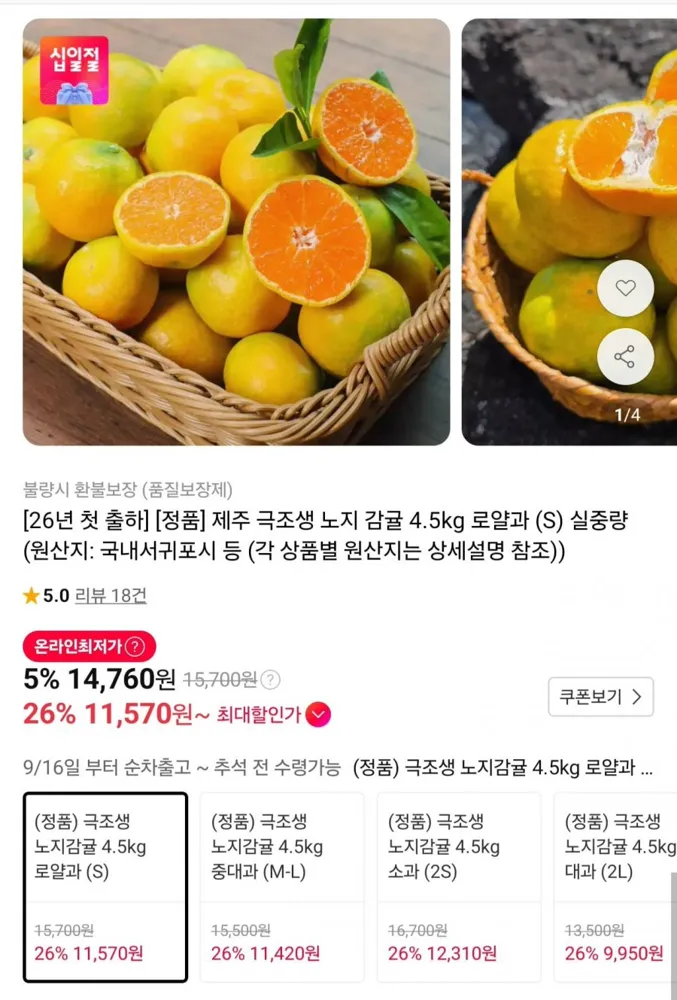 [11번가] 제주 극조생 노지감귤 4.5kg 로얄과 S (12,990원/무료)