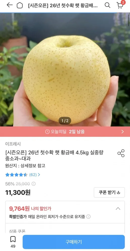 [오늘의집] 26년 햇 황금배 4.5kg 중소과 (9,764원/무료)