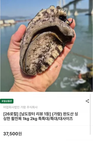 완도산 활전복 8~9미 1kg