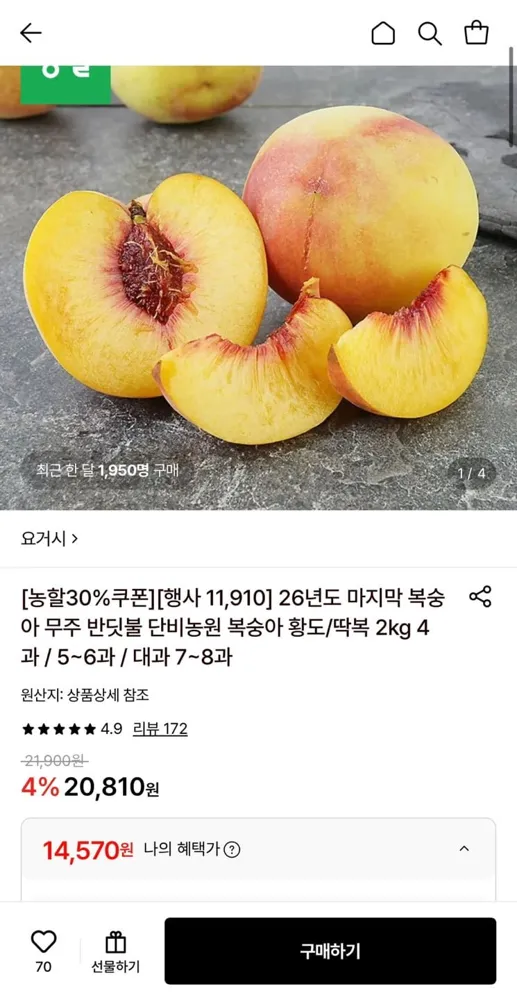 [롯데온] 26년도 무주 반딧불 단비농원 복숭아 황도 2kg 5-6과 (14,570원/무료)