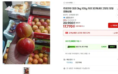 추희자두 대과 3kg 100g급 30개 내외 고당도 (17,700원/