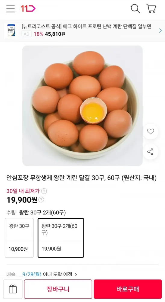 [11번가] 무항생제 왕란 계란 달걀 60구 (19,900원/무료)