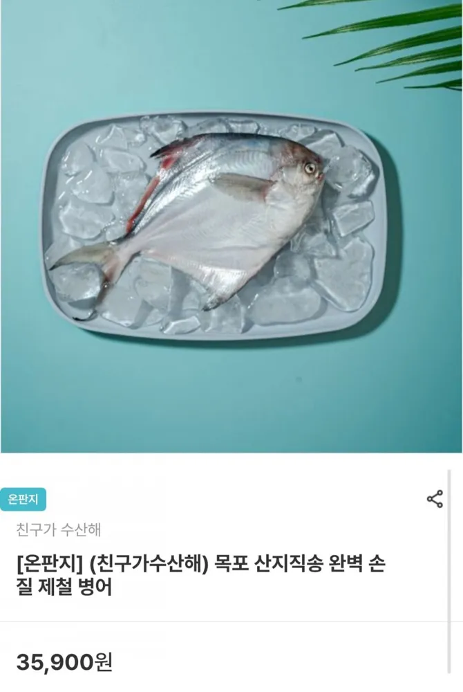 [남도장터] 목포 산지직송 손질 병어 200g 이상 x 2마리 (17,940원/무배)