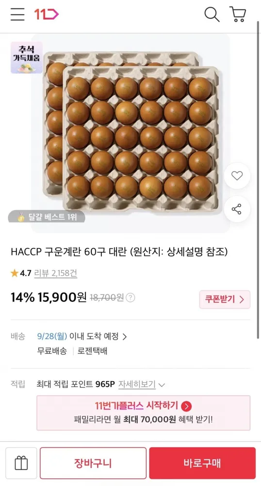[11번가] 구운란 대란 60구 (15,900원/무료)