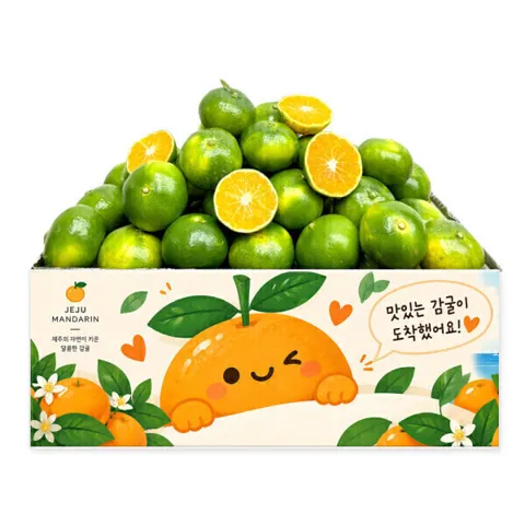제주 햇 극조생감귤 로얄과 4.5kg