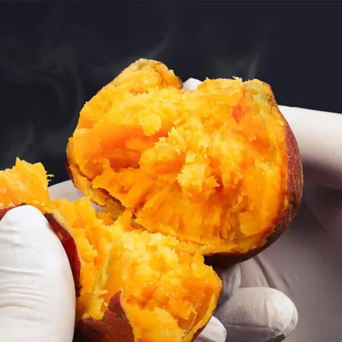 해남 호풍미 당근 호박고구마 5kg 대