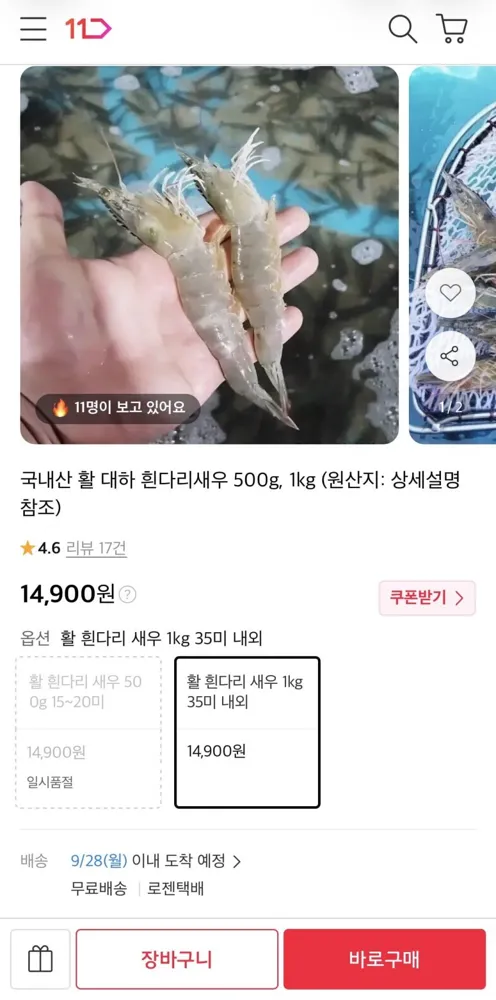 [11번가] 국내산 활 대하 흰다리새우 1kg 35미 내외 (14,900원/무료)