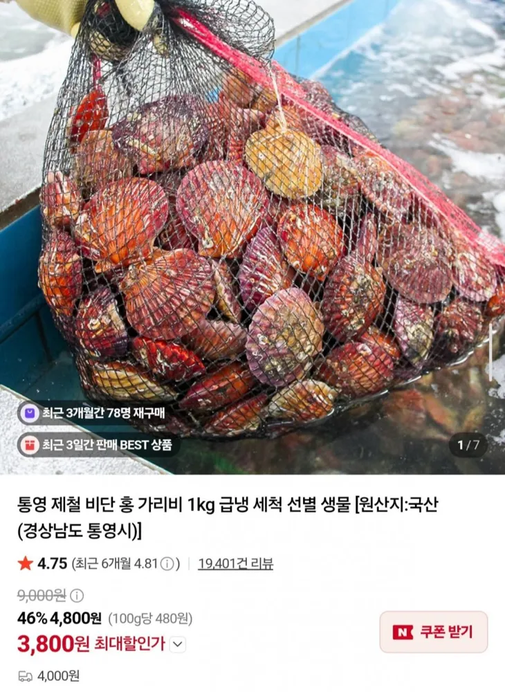 [네이버] 통영 제철 비단 홍가리비 3kg (13,400원/네멤무배)