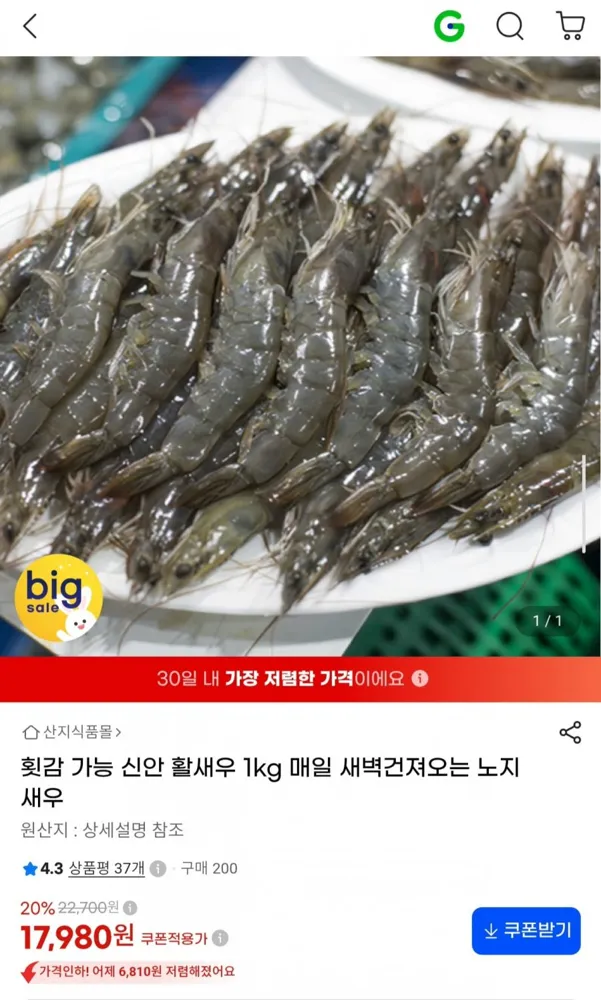 [G마켓] 횟감 가능 신안 활새우 1kg (17,980원/무료)