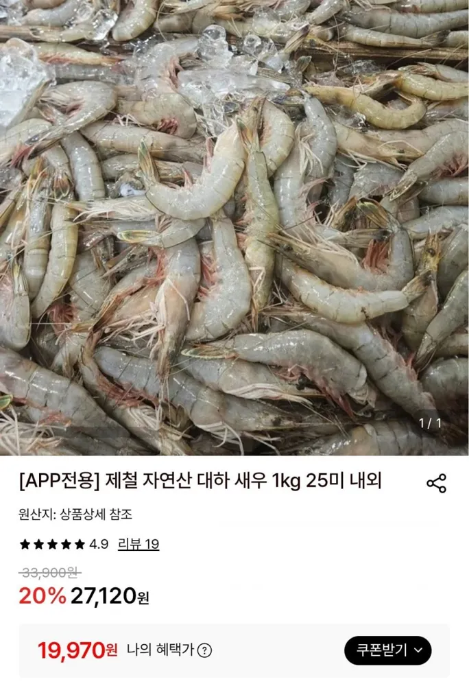 [롯데온] 서해 자연산 대하 새우 1kg 25미 내외 (토스19,970원/무배)