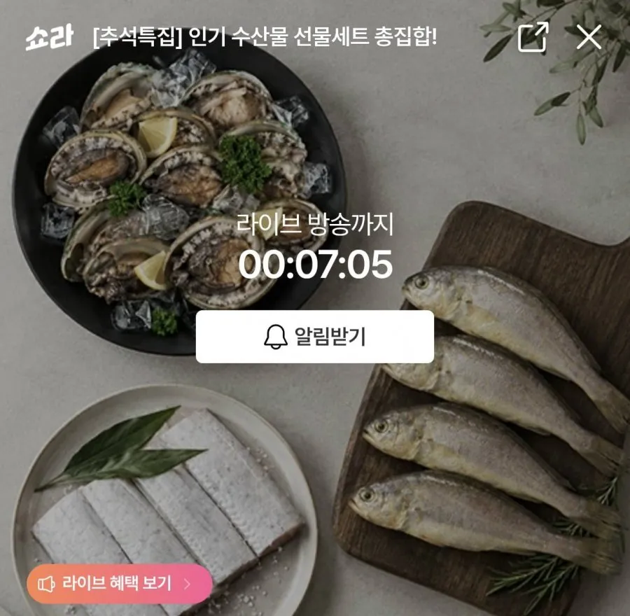 [H몰] 쇼라 수산물 특가 전복 1kg 외 (31,680원~/무료)