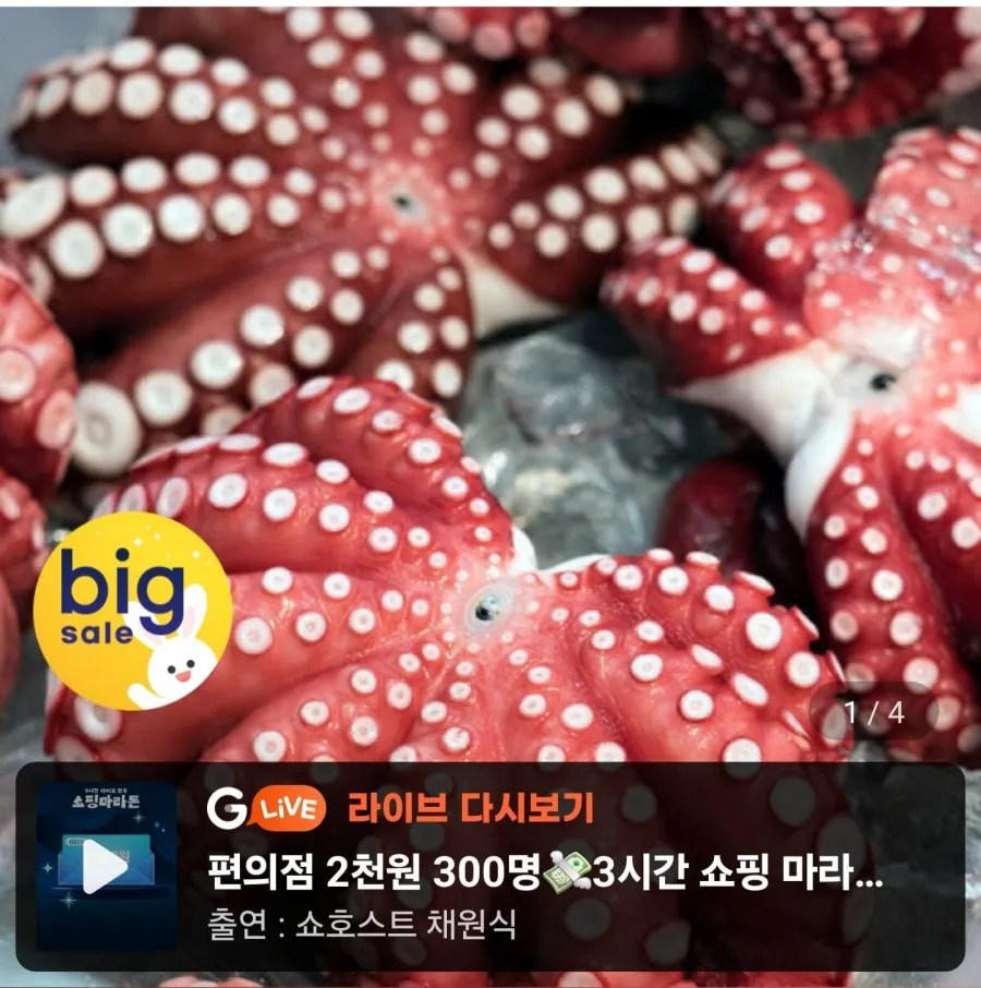[지마켓] 자숙문어 대 1마리 약700g~900g (15,890원/무료)
