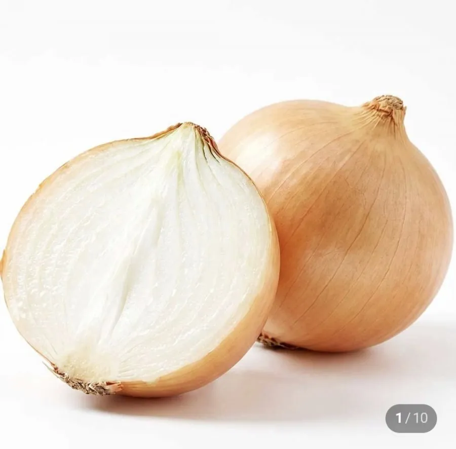 [네이버]26년 국내산 햇양파 무안 창녕 1.5kg 중사이즈 (1,700/네멤무료)