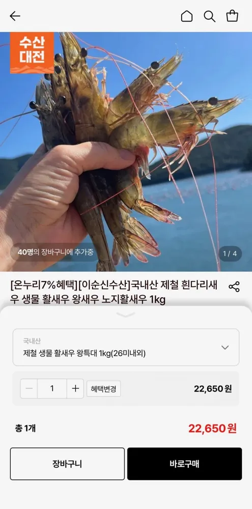 [롯데온] 제철 생물 활새우 왕특대 1kg(26미내외 (22,650원/무료)