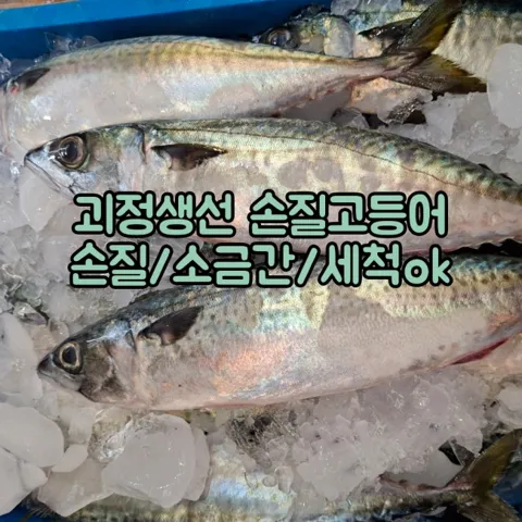 국내산 손질 고등어 180~200g 10팩